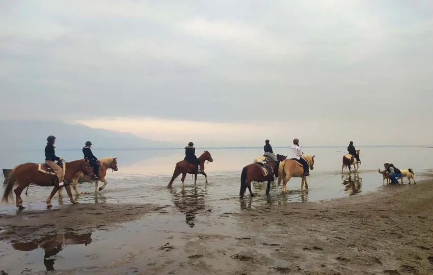 Horseback riding Kerkini lake