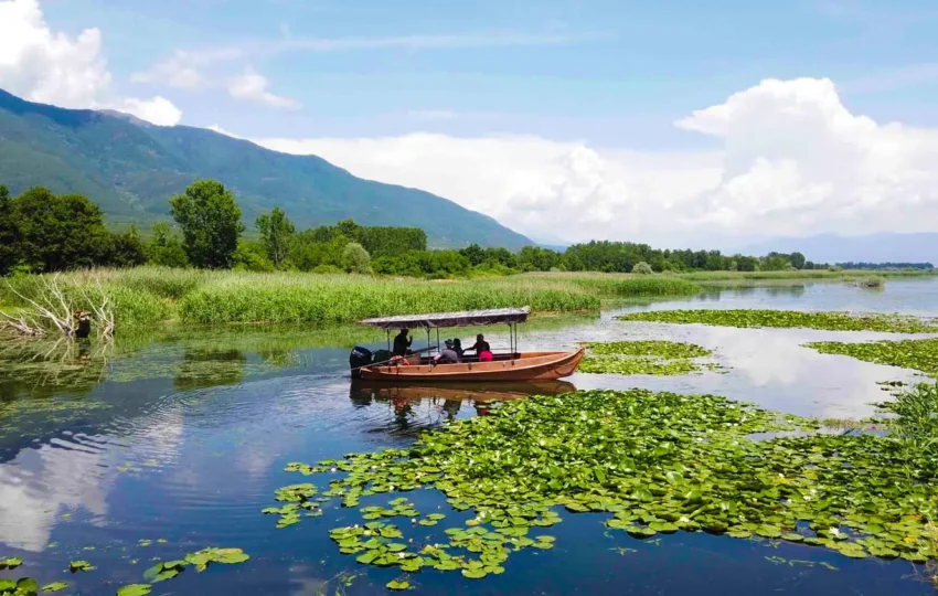 Kerkini Lake private tours