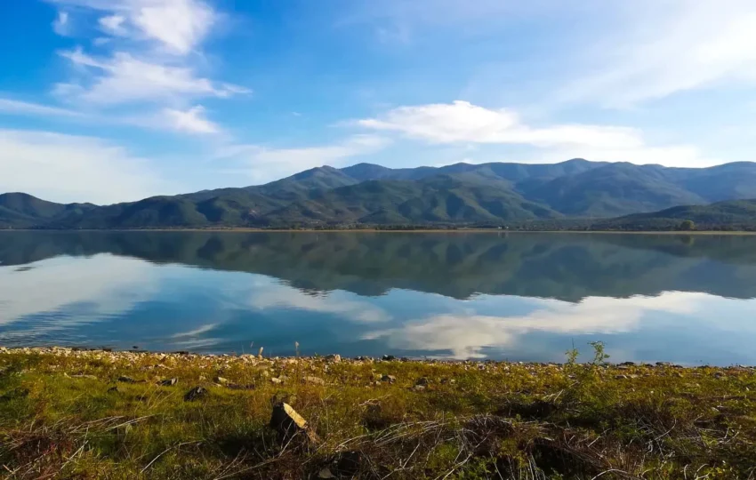 Kerkini lake guided tours