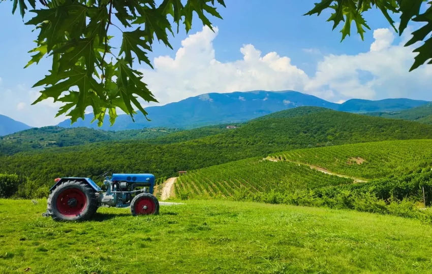 Kir Yianni winery tours