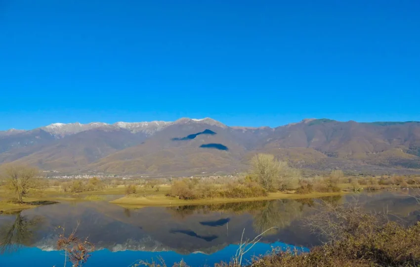 kerkini birdwatching11