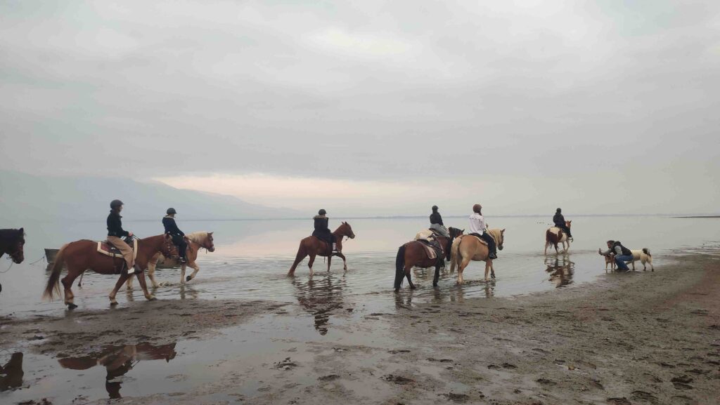 Horseback riding Kerkini lake 1024x577 - Thessaloniki Day trips