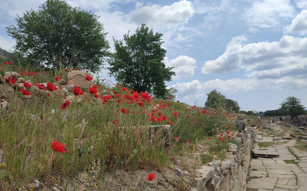 Philippi_archaeological_Site_Via_Egnatia