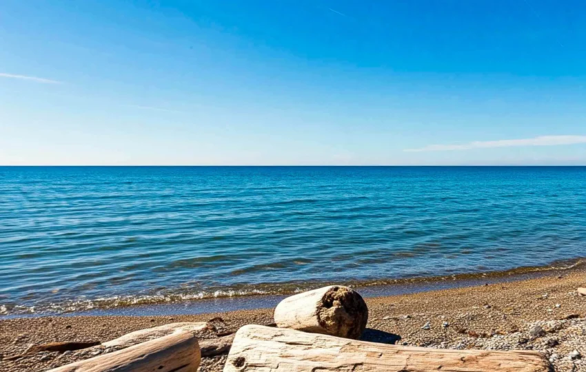 Beachcombing deadwood - Thessaloniki Day trips