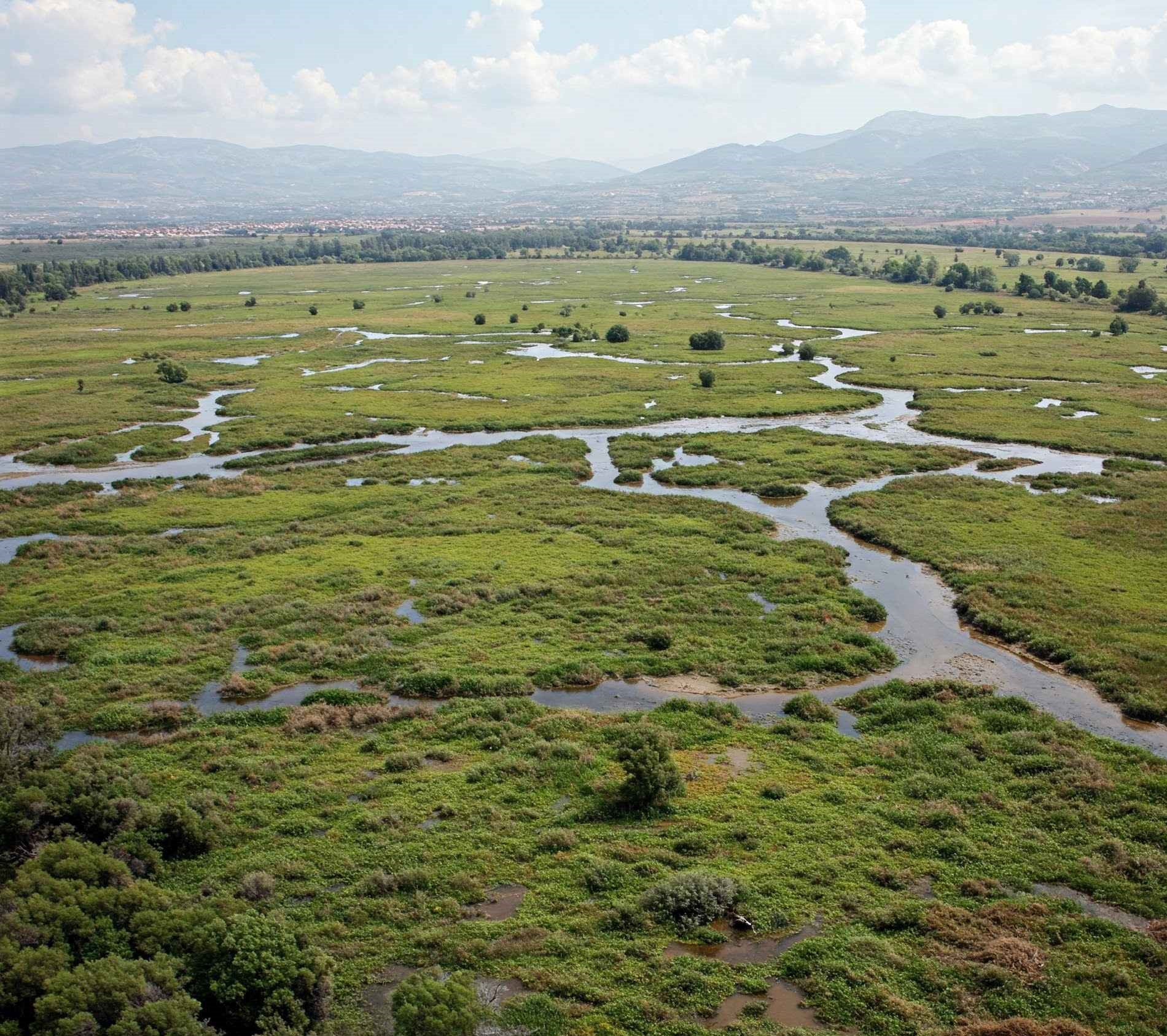 Macedonian swamp - Thessaloniki Day trips